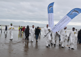 Nieuwjaarsduik (Bredene)